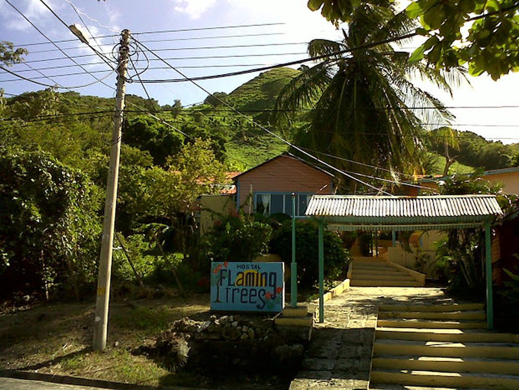 Hotel Flemming Tree Providencia Island Exterior photo