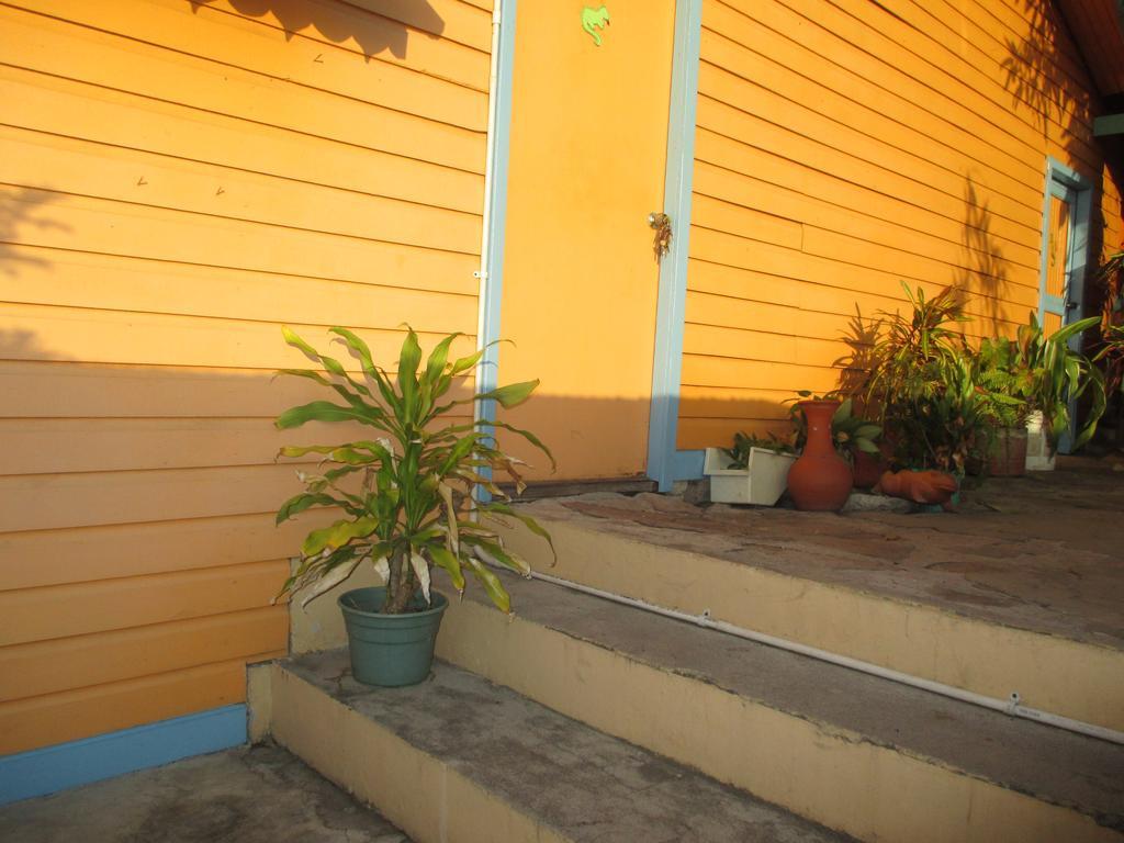 Hotel Flemming Tree Providencia Island Exterior photo