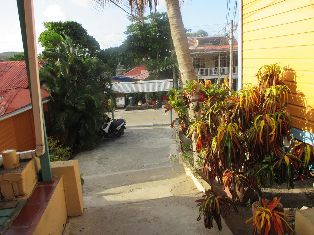 Hotel Flemming Tree Providencia Island Exterior photo